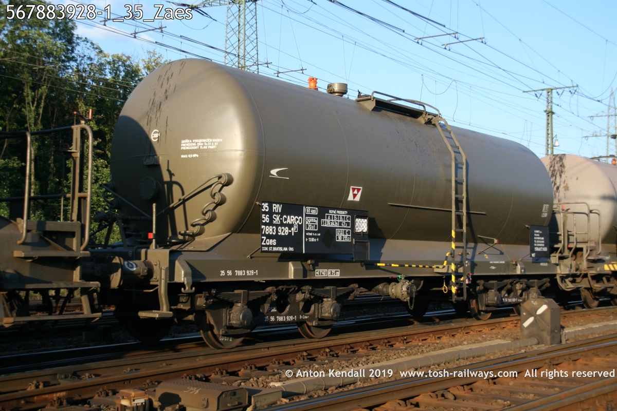 567883928-1_35_Zaes.jpg